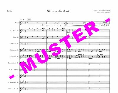 Nie mehr ohne di sein (Die SEER) für Blasmusik