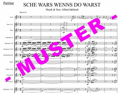 Sche wars wennst do warst (Die SEER) für Blasmusik