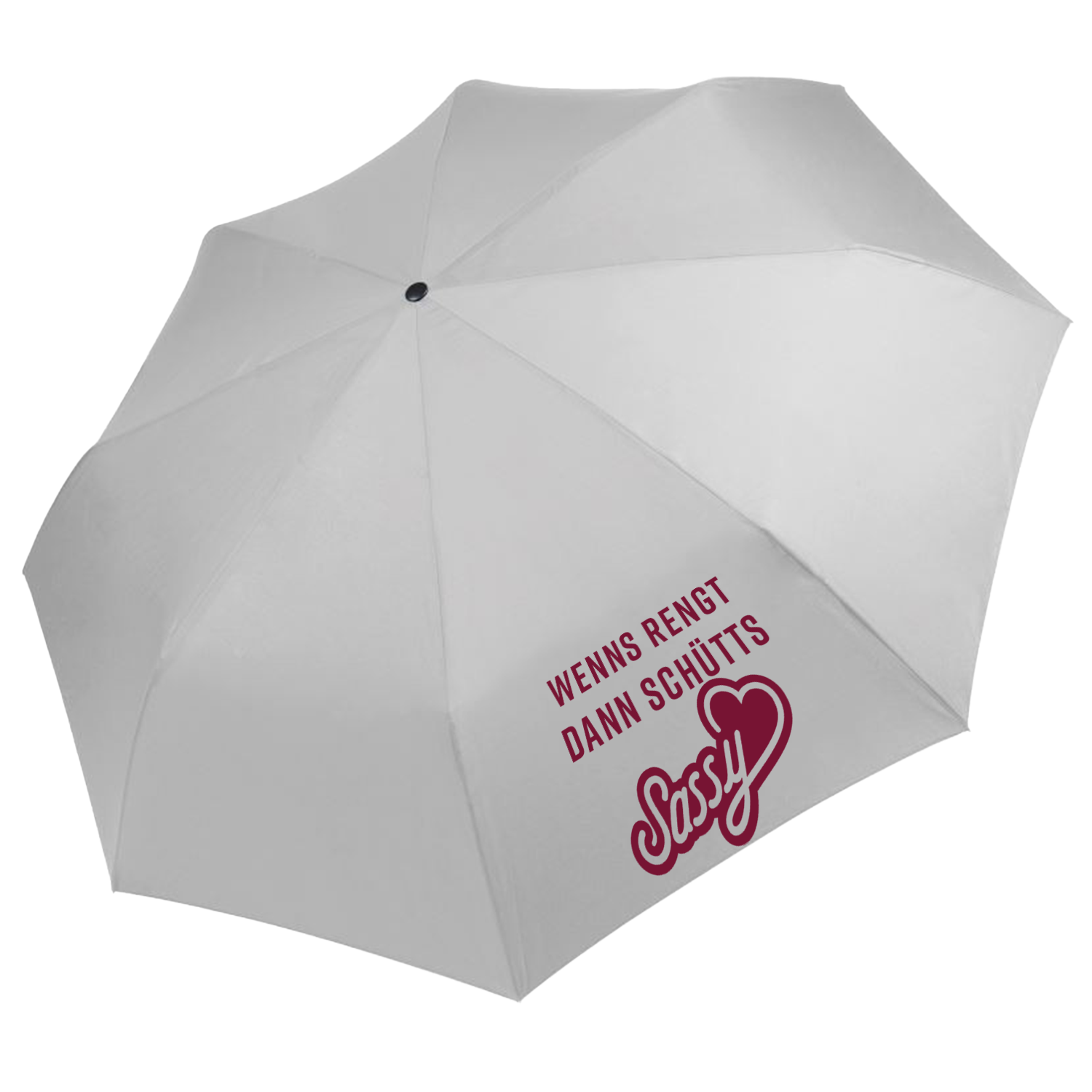 Knirps &quot;Wenns rengt dann schütts&quot;