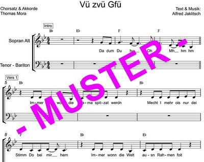 Vü zvü Gfü (Die SEER) für Chöre