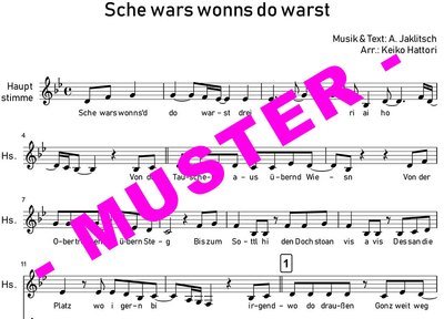 Sche wars wennst do warst (Die SEER) für Chöre