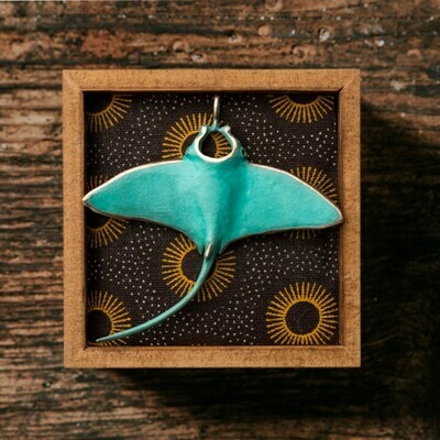 Manta Ray