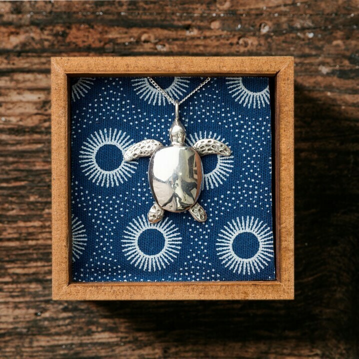 Silver Turtle