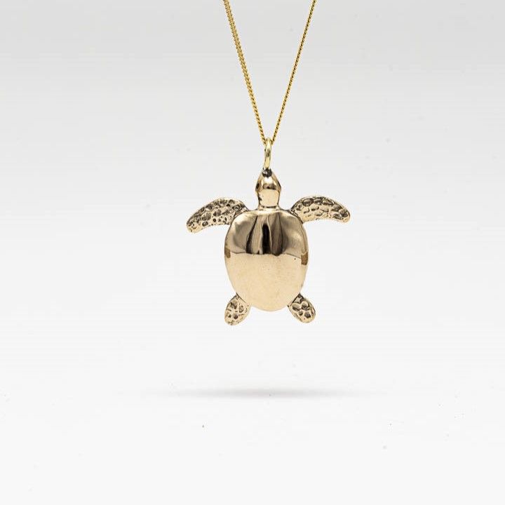 Turtle bronze