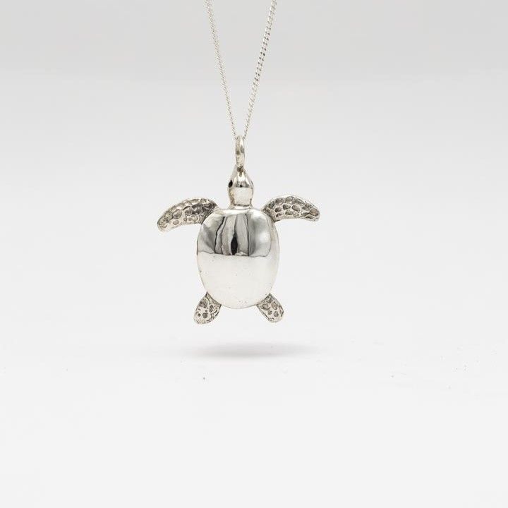 Silver Turtle