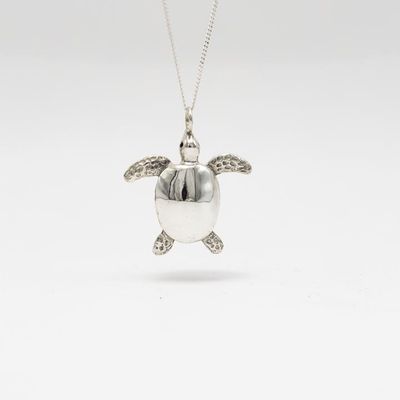 Silver Turtle
