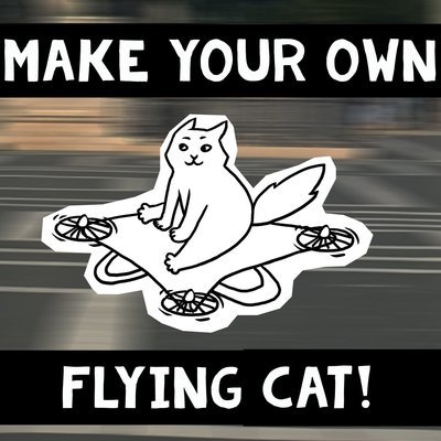 Make your own flying cat