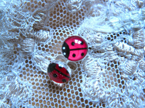 Lucky ladybird earrings ~ red, stud