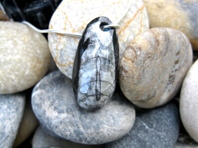 Orthoceras fossil necklace - to promote success