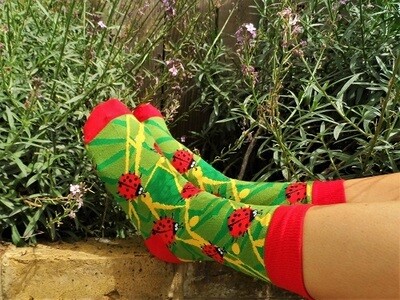 Lucky ladybird socks