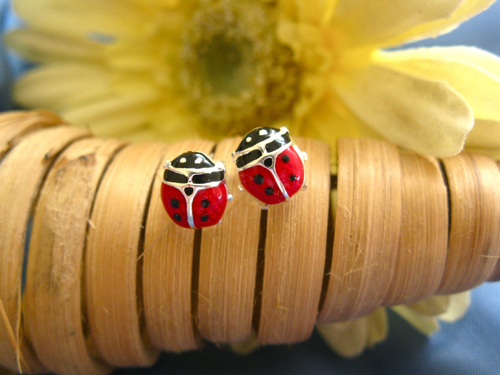 Ladybird earrings ~ large studs