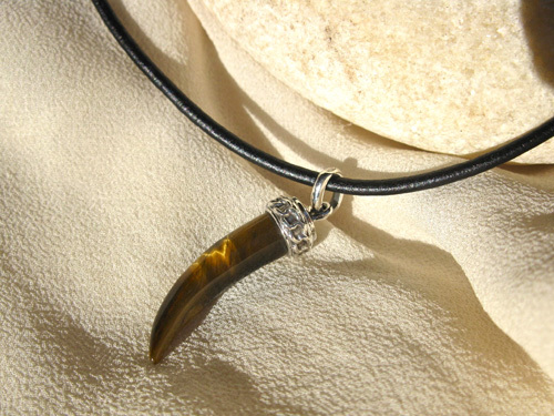 Tigers Eye + silver necklace, shark's tooth