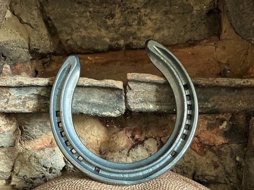 Lucky horseshoe for new home