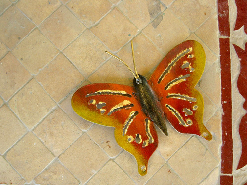 Butterfly fridge magnet