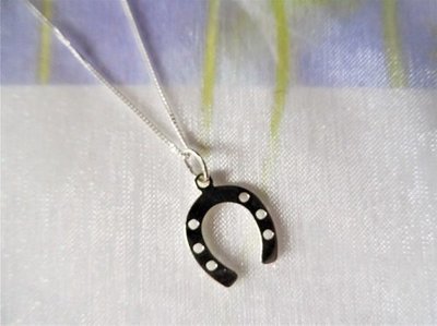 Lucky horseshoe charm necklace