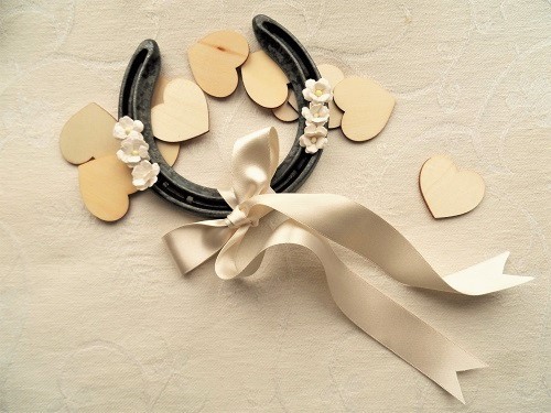 Lucky horseshoe for wedding gift