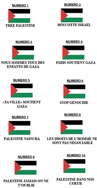 Planche Palestine 1