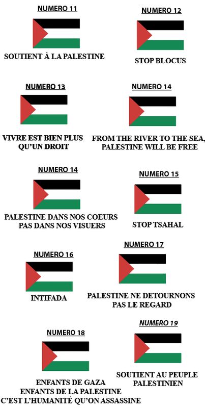 Planche Palestine 2