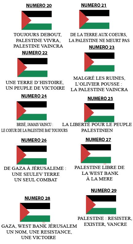 Planche Palestine 3