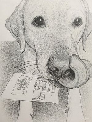 Handcrafted Biscuits &amp; Treats