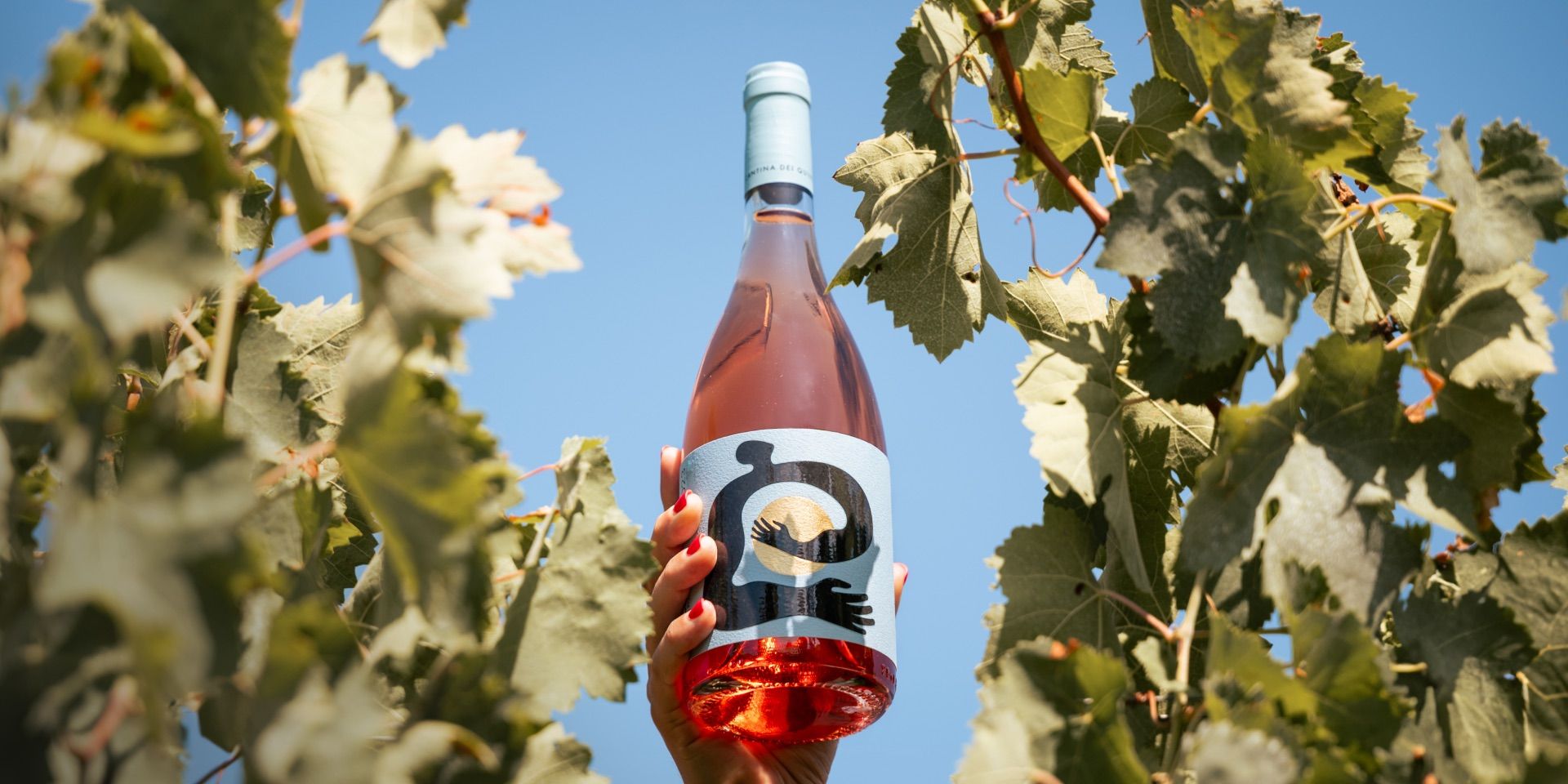 VOLCEI – Campania Rosato IGT