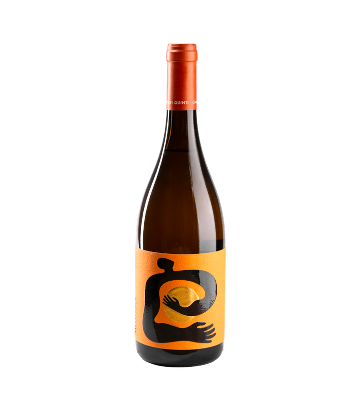 MELUSINA – Campania Bianco IGT