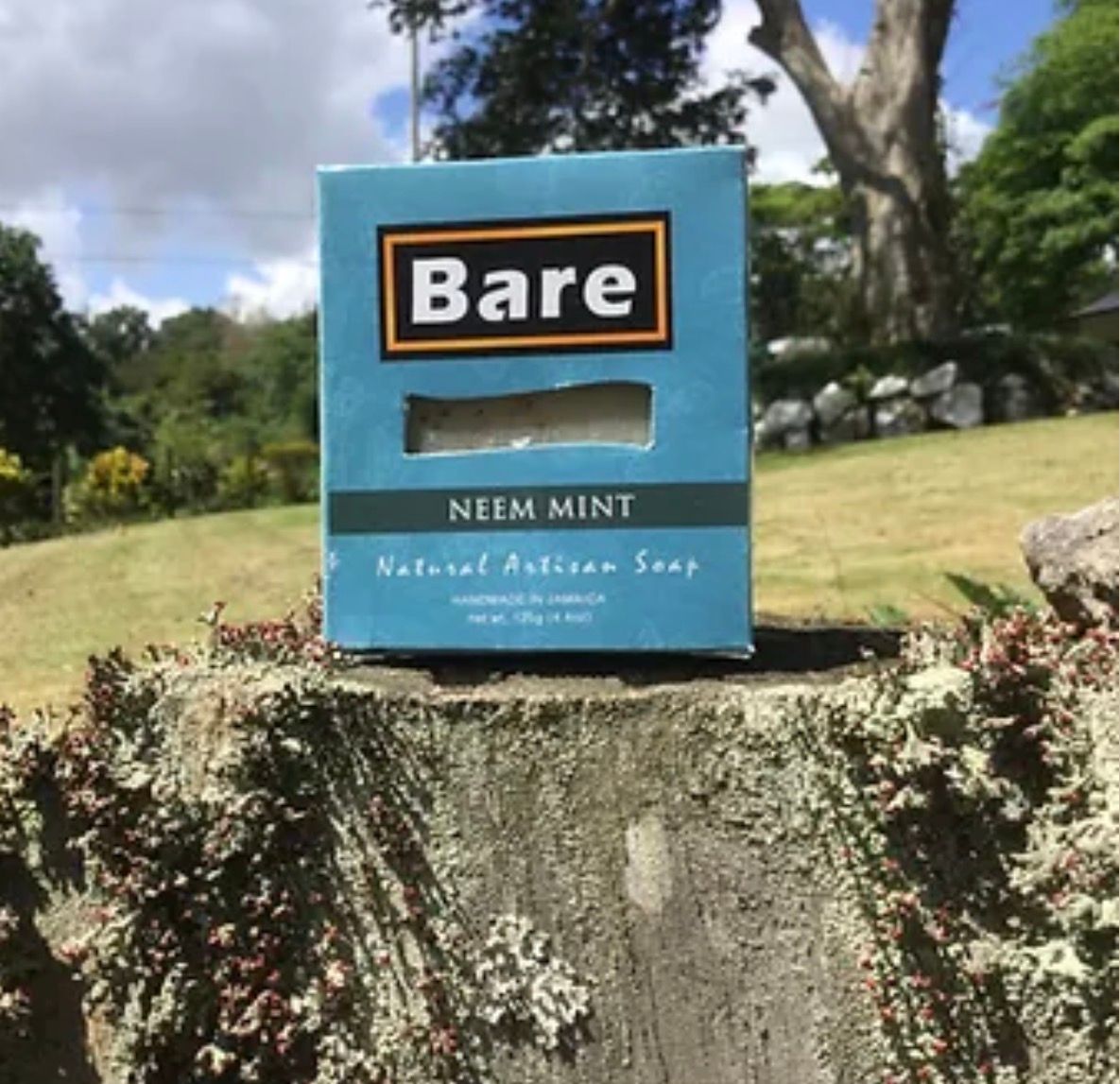 Bare Neem Mint Soap