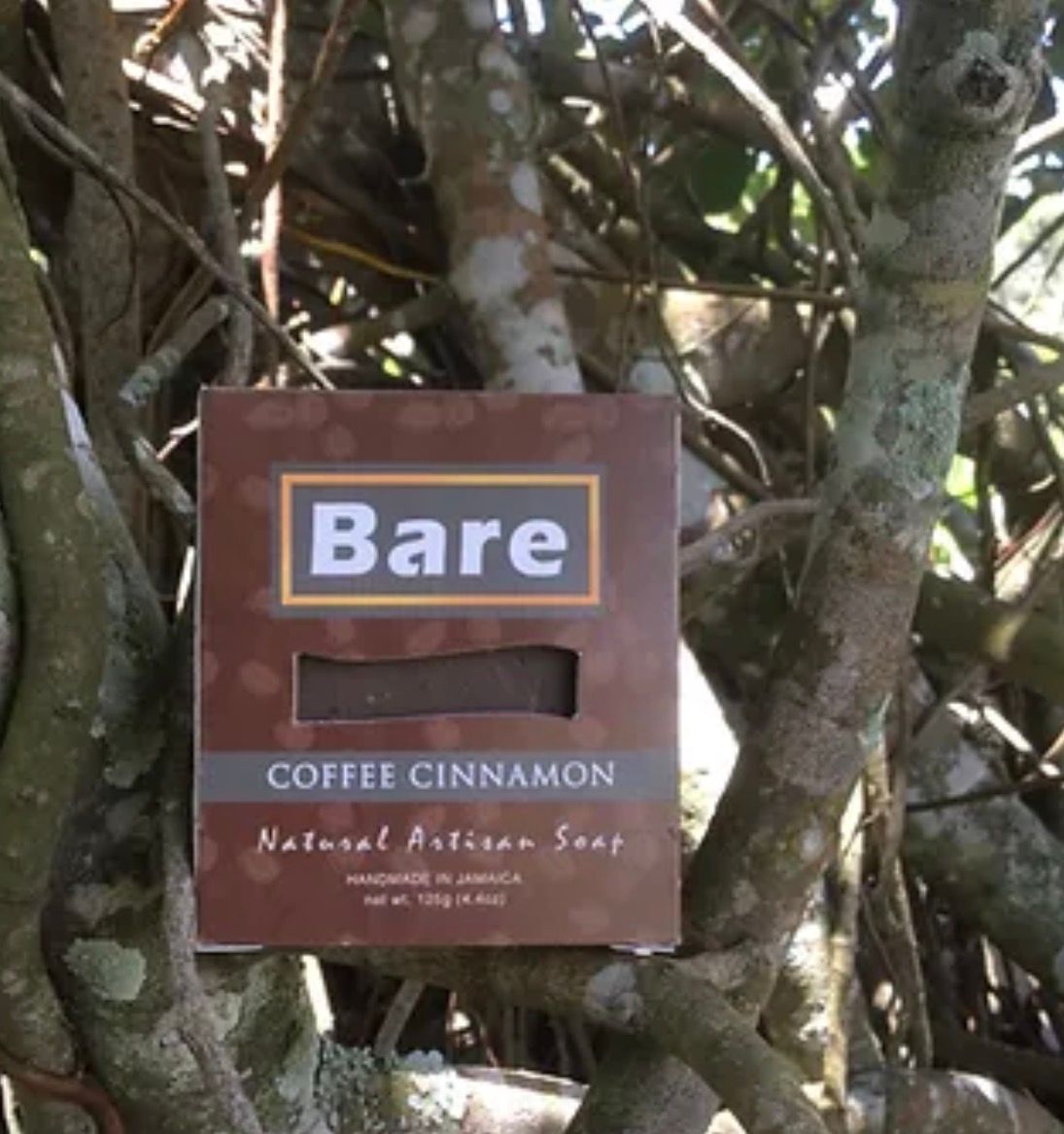 Bare Coffee Cinnamon Soap