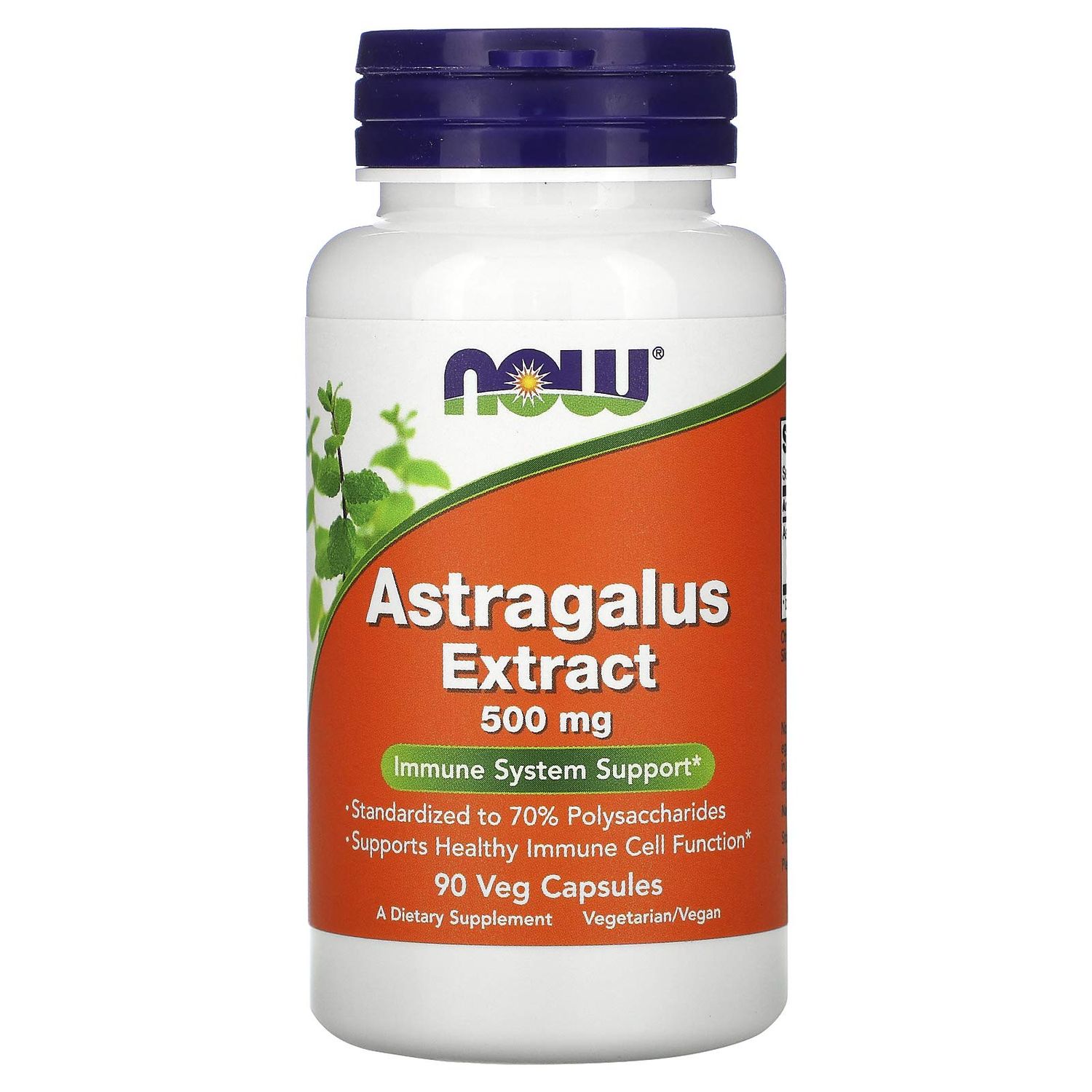 Now Suppl Astragalus Extract
