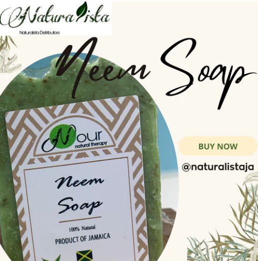 Nour Neem Soap 4oz