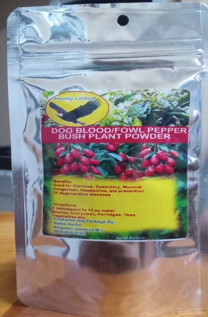 Healthy Living DogBlood Plant