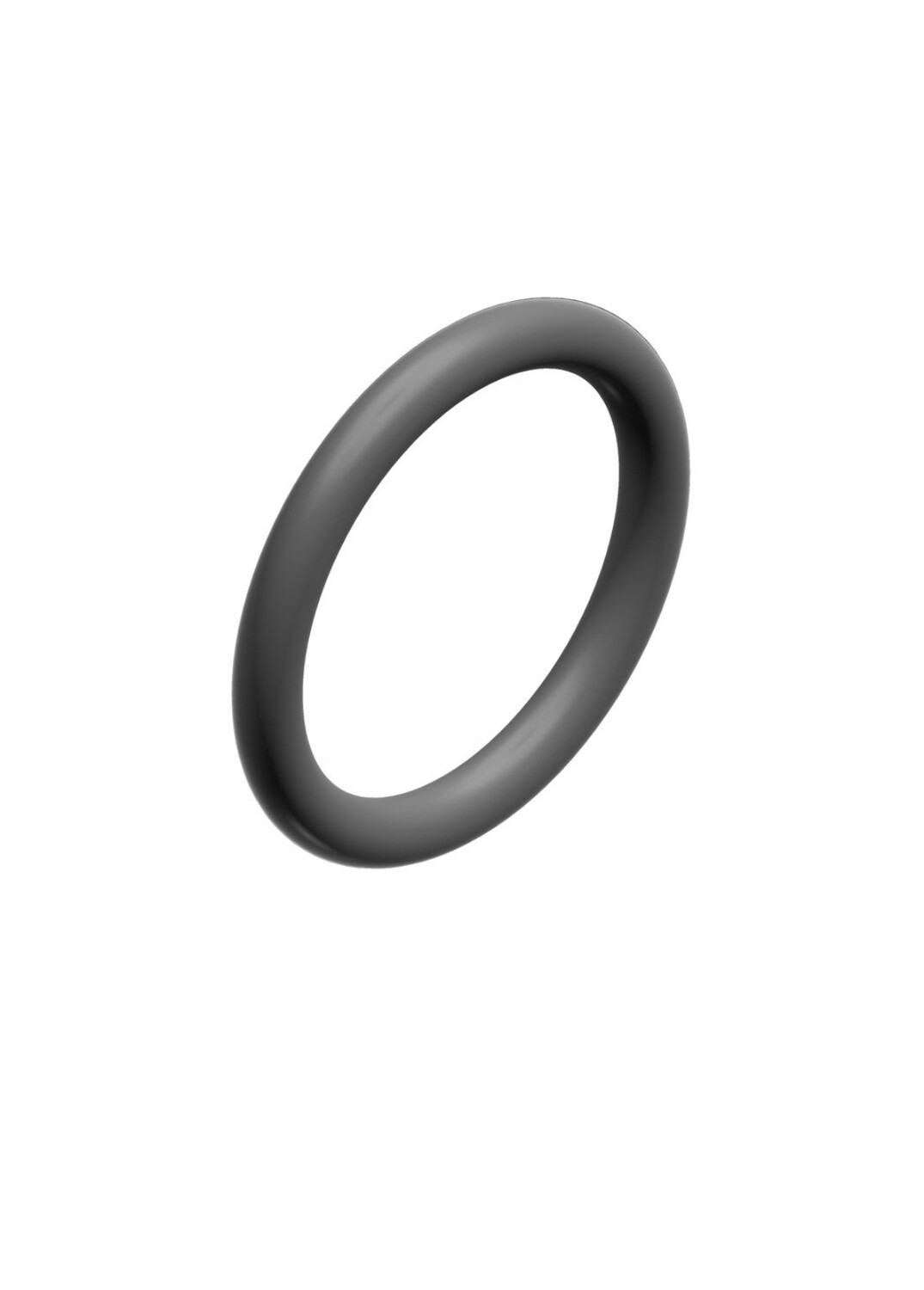 BOSCH O-ring 17,2x2,62 (10x)