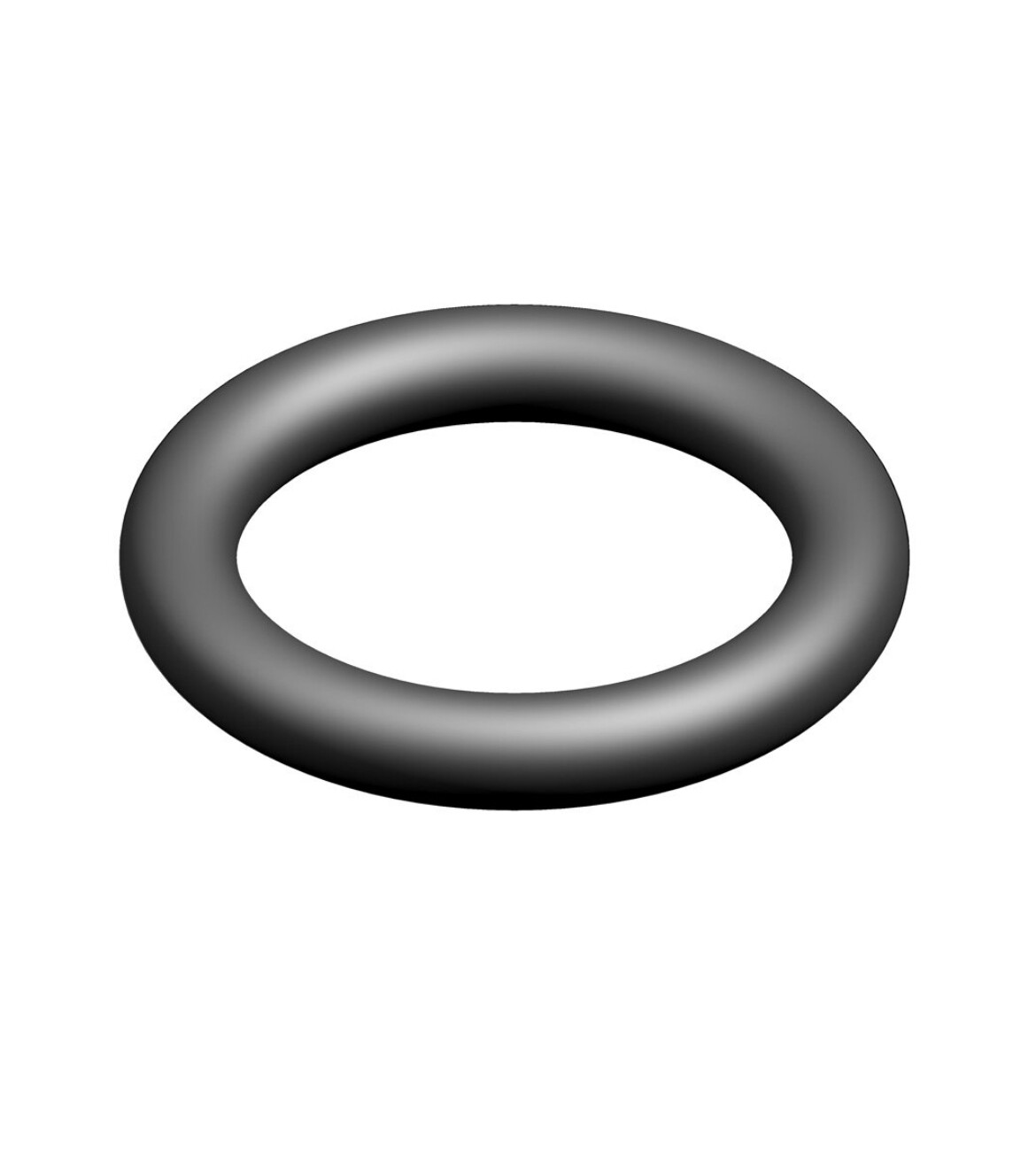 BOSCH O-ring (10x)