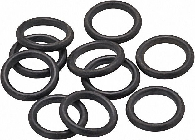 BOSCH O-ring (10x)