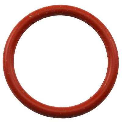 BOSCH O-ring (10x)