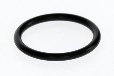 BOSCH O-ring 23,47x2,62 (10x)