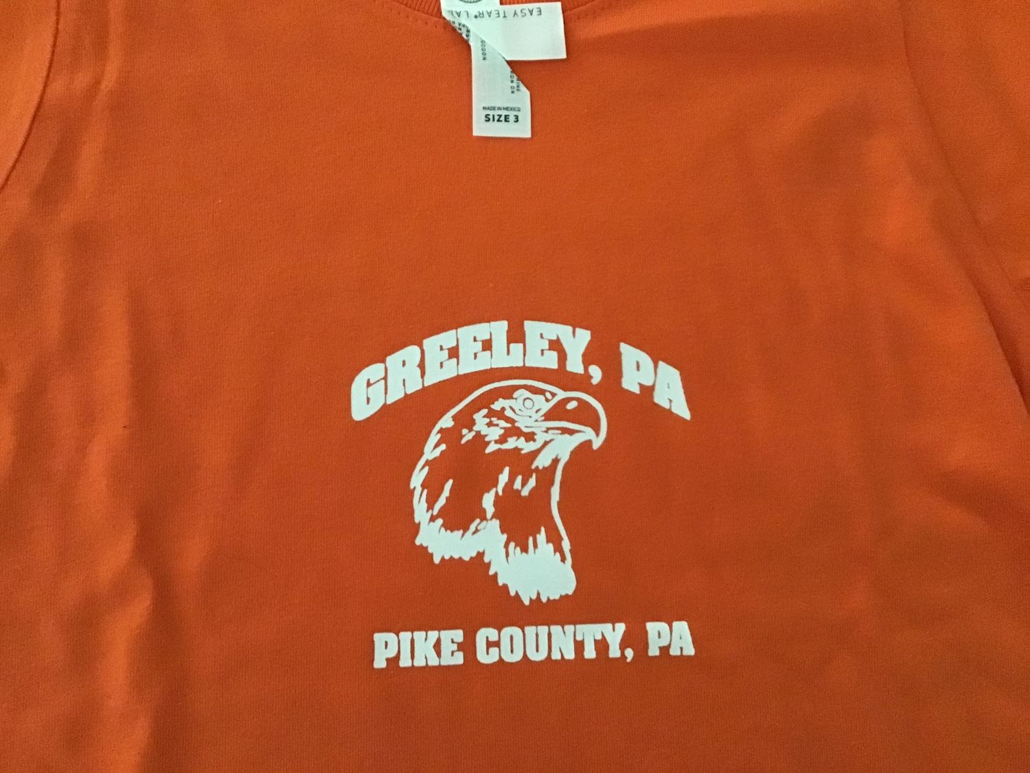 Greeley, Pa toddler 3 orange tee