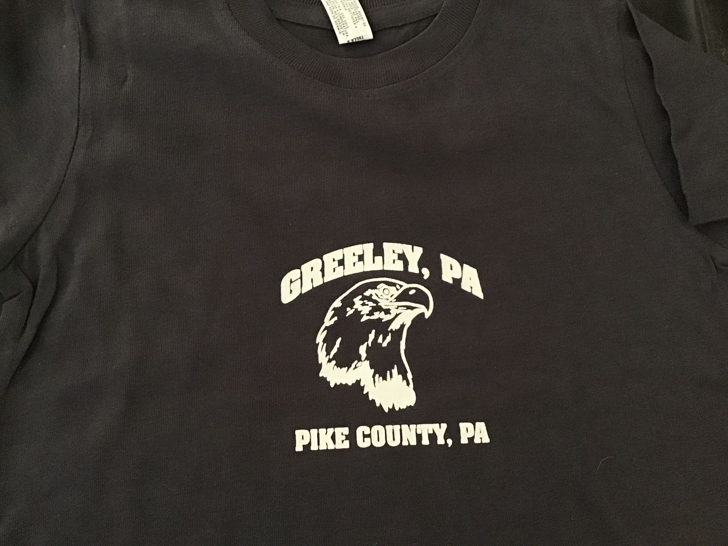 Greeley, Pa toddler 3 charcoal grey tee