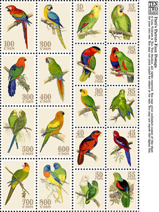 Patti's Parrots