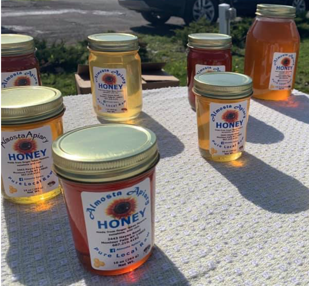 Almosta Apiary Dark Honey in 16 oz Jelly Jar
