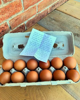 Organic Pasture Brown Eggs Large