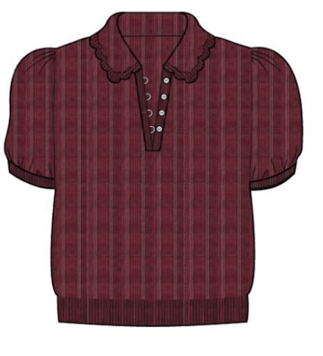 Dressy Tops