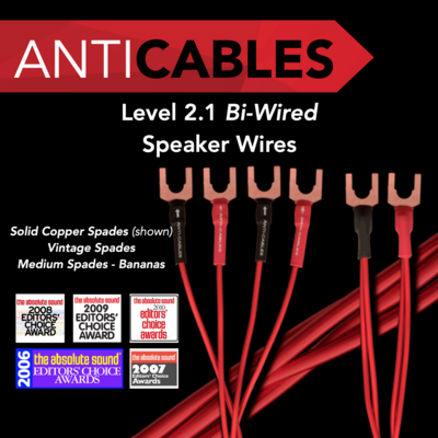 Level 2.1 Bi-Wired Speaker Wires