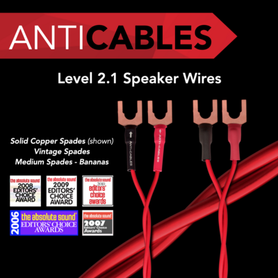 Level 2.1 Speaker Wires