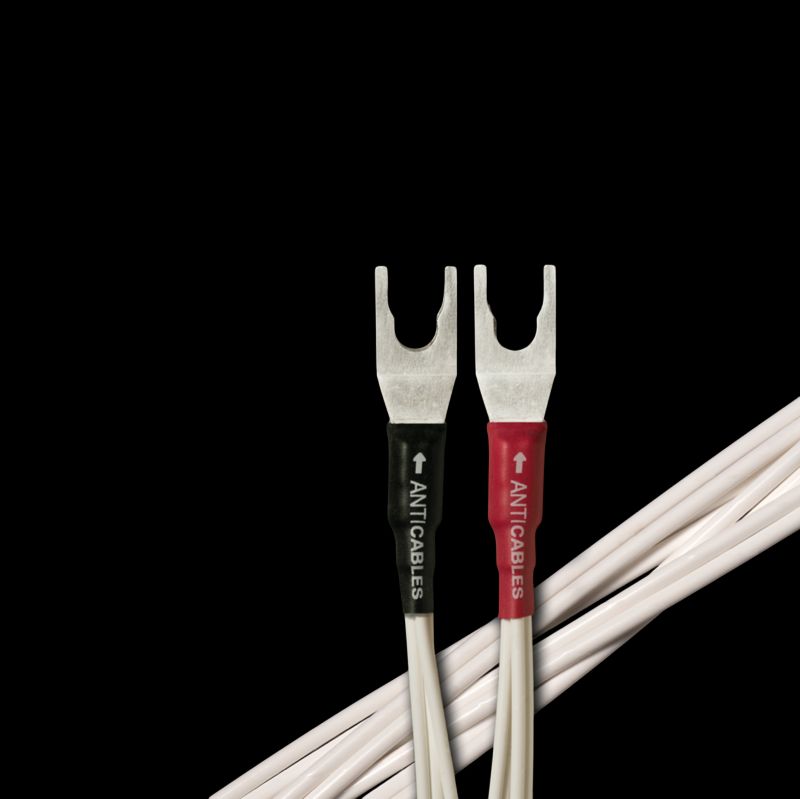 Level 6 Speaker Wires
