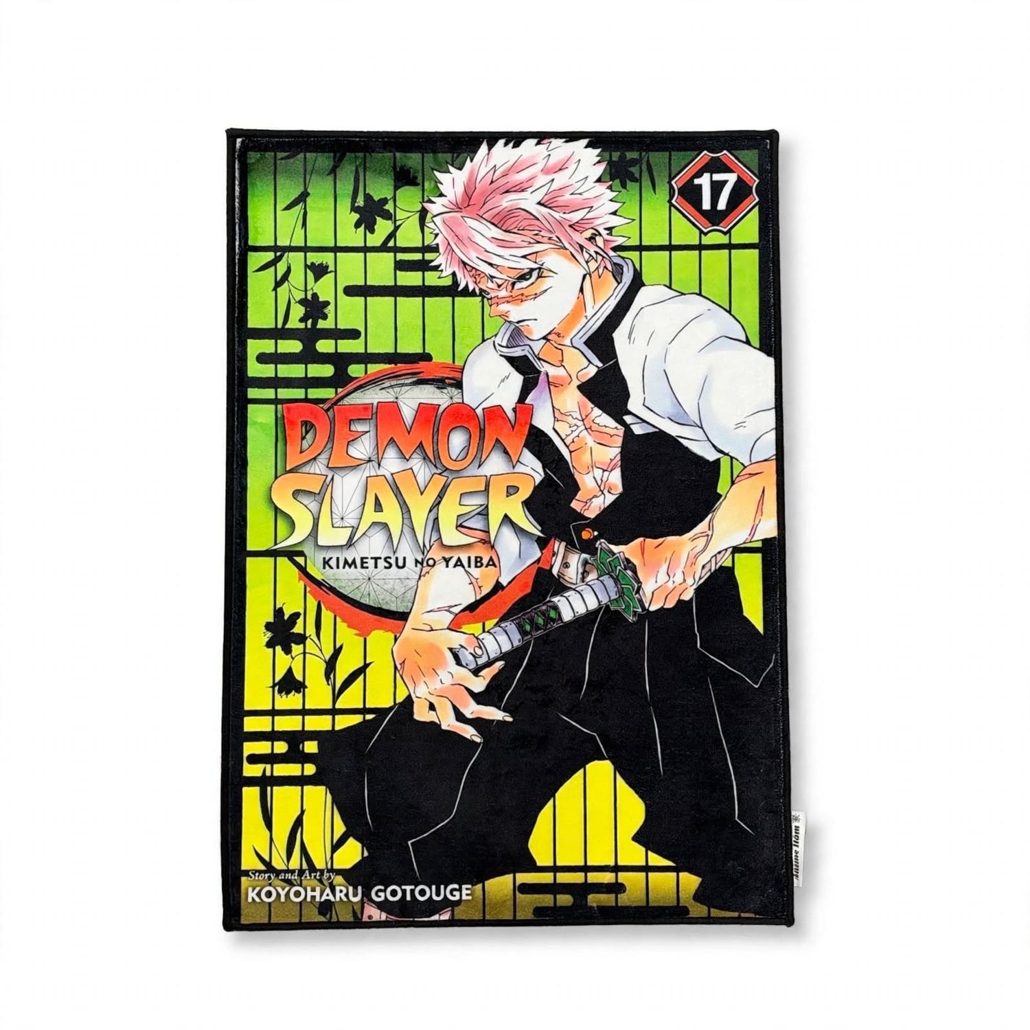 Anime Hōm Rug - DS Volume 17