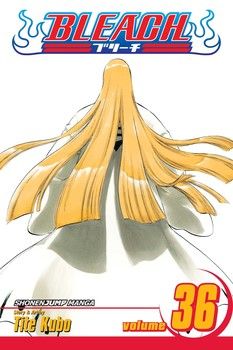 BLEACH V36