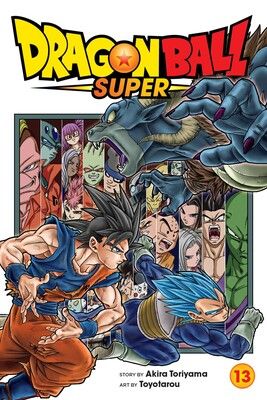 DRAGON BALL SUPER V13