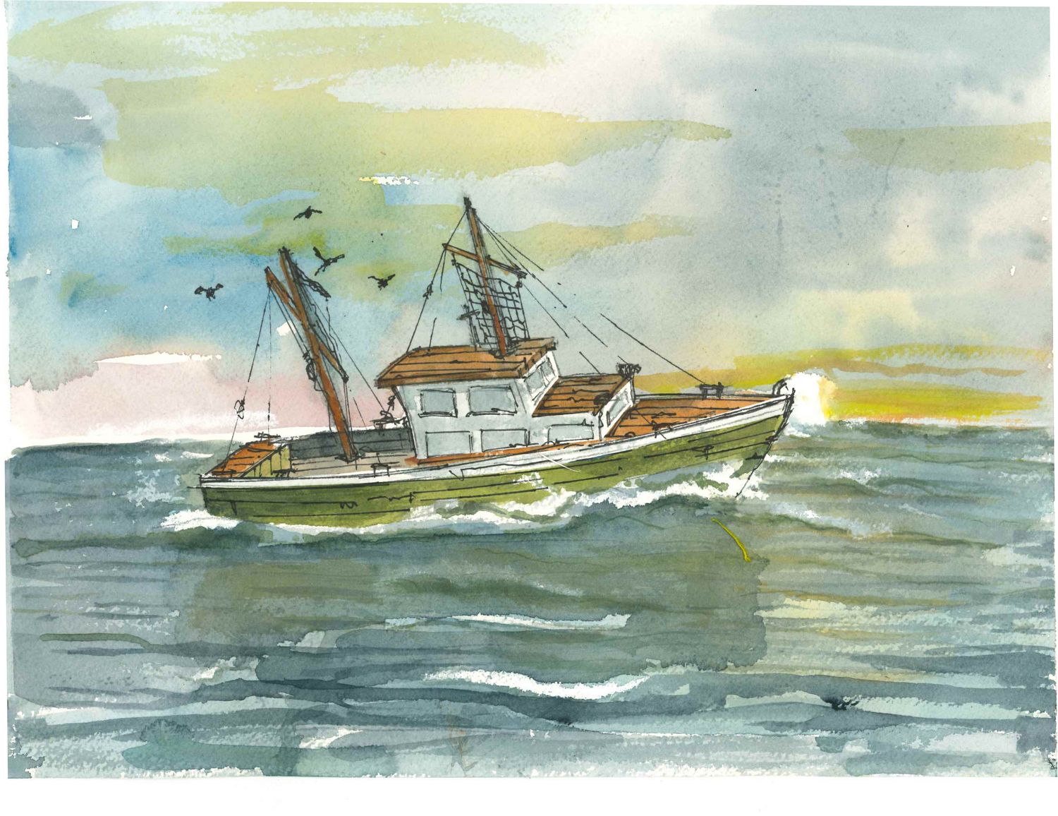 6  “Seagulls chasing”