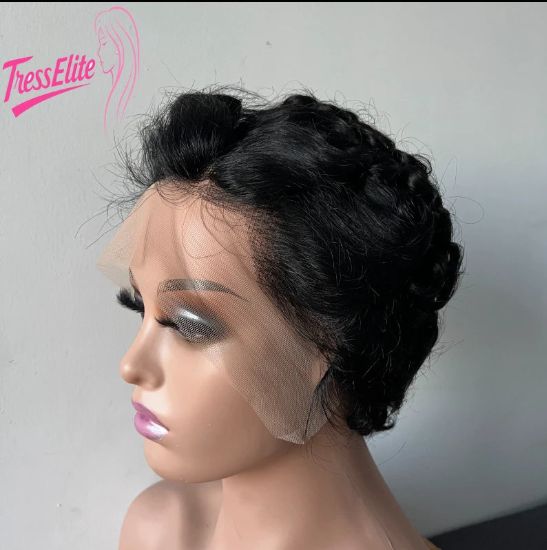 Black Braided Updo Lace Front Wig